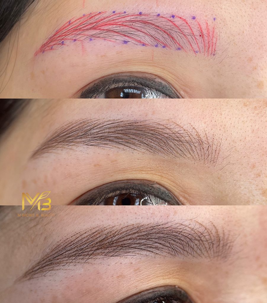 M Brows and Beauty Three close-up images show stages of eyebrow microblading: the first with red and blue guide marks, the second with freshly microbladed, natural-looking brow strokes, and the third revealing healed, fuller eyebrows achieved through permanent make-up.
